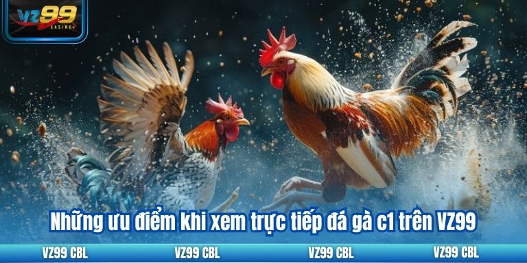 Trực Tiếp Đá Gà C1: Trận Đấu Đỉnh Cao Hấp Dẫn Tại VZ99 2 Những ưu điểm khi xem trực tiếp đá gà c1 trên VZ99