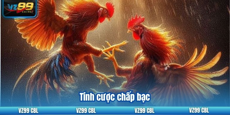 Khám Phá Tỷ Lệ Cược Đá Gà Uy Tín Nhất Tại VZ99 4 Tính cược chấp bạc