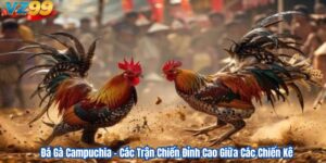 Đá Gà Campuchia VZ99 – Các Trận Chiến Đỉnh Cao Giữa Các Chiến Kê 2 Đá Gà Campuchia – Các Trận Chiến Đỉnh Cao Giữa Các Chiến Kê
